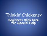 Raising Chickens for beginners