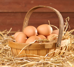 Fresh eggs from your henhouse